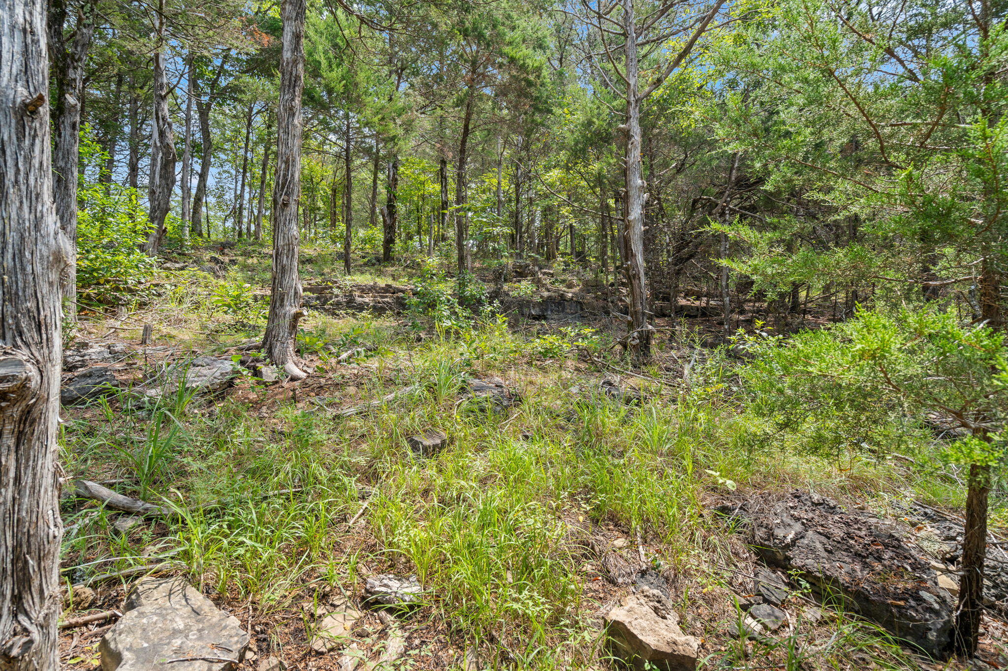 Photo 16 - Land for sale – 1270  Frisco Hills Road  Kissee Mills, MO