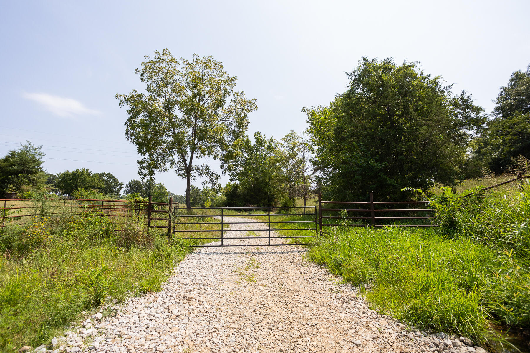 Photo 2 - Land for sale – 000  County Road 425   Ava, MO