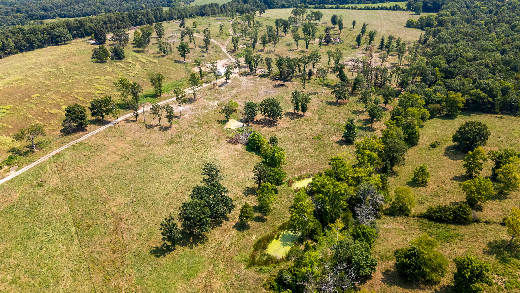 Photo 42 - Land for sale – 000  County Road 425   Ava, MO