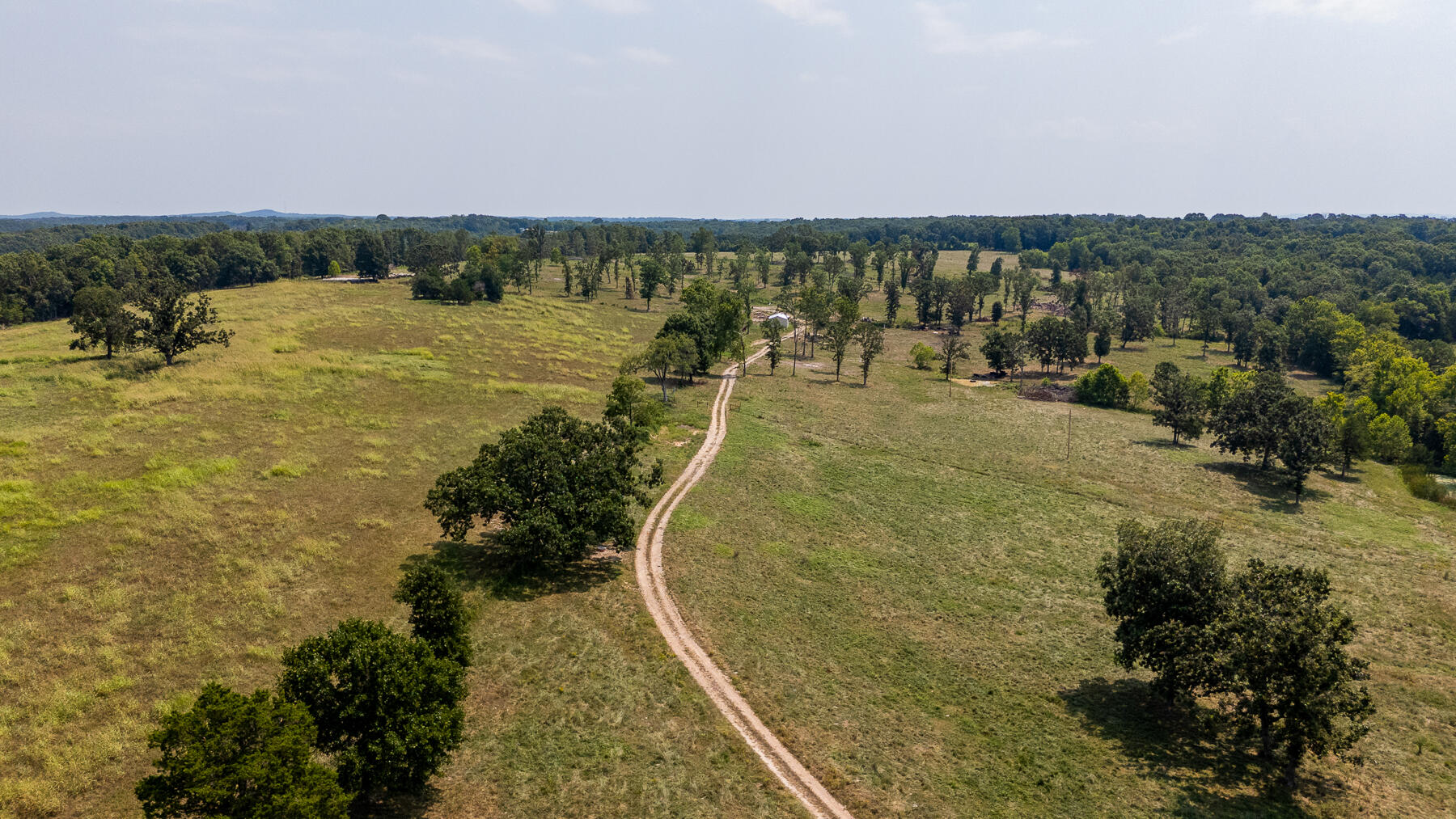 Photo 39 - Land for sale – 000  County Road 425   Ava, MO