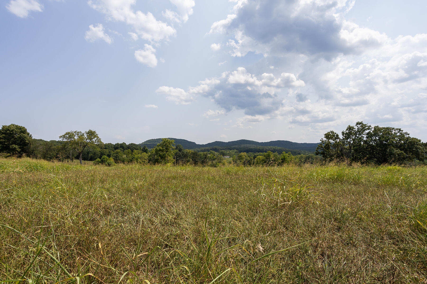 Photo 28 - Land for sale – 000  County Road 425   Ava, MO