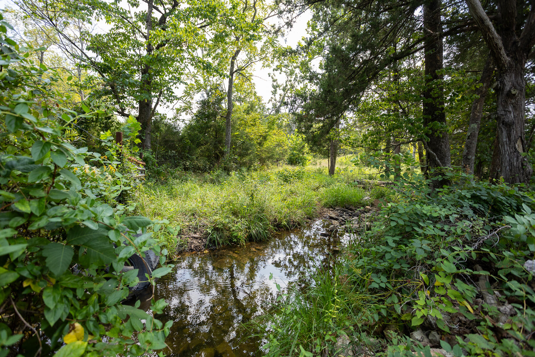 Photo 34 - Land for sale – 000  County Road 425   Ava, MO