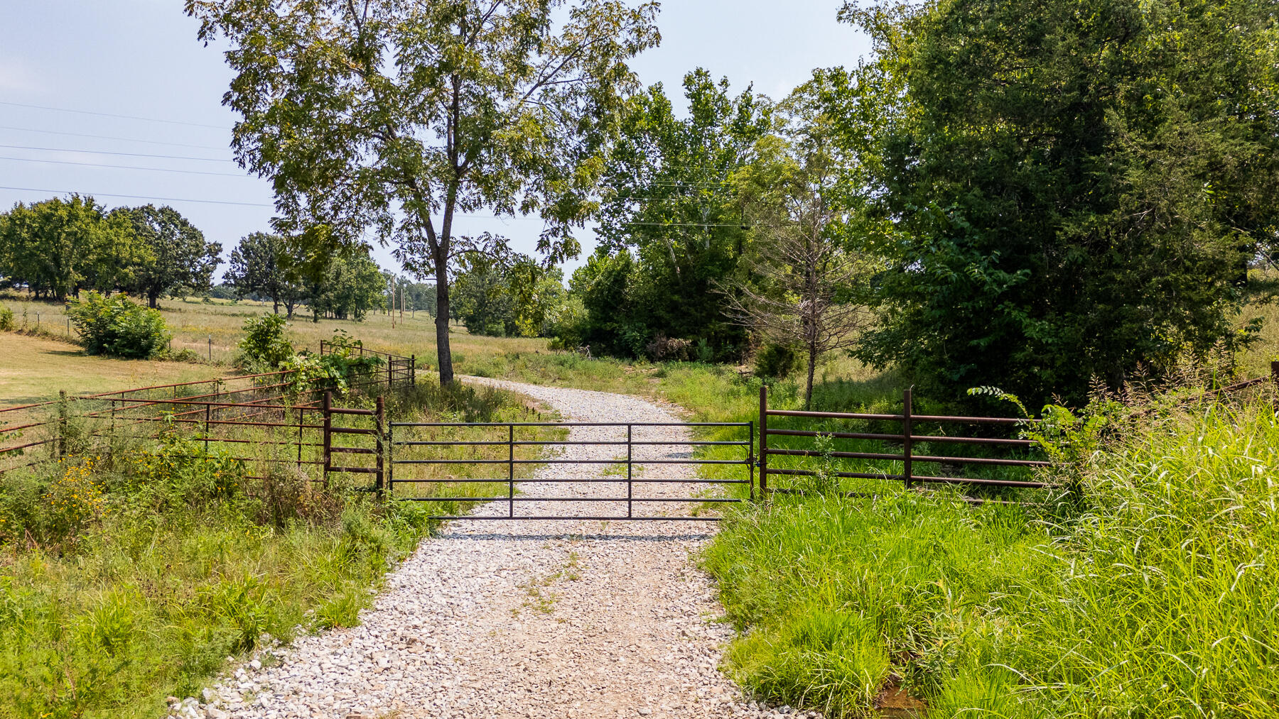 Photo 68 - Land for sale – 000  County Road 425   Ava, MO