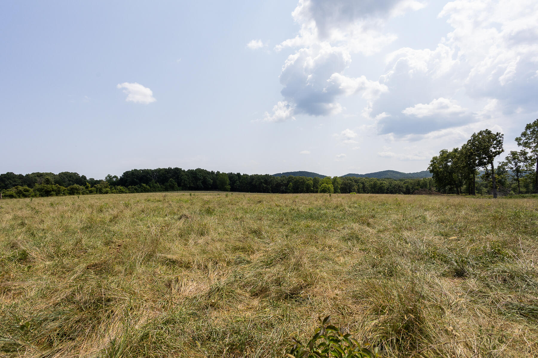 Photo 19 - Land for sale – 000  County Road 425   Ava, MO
