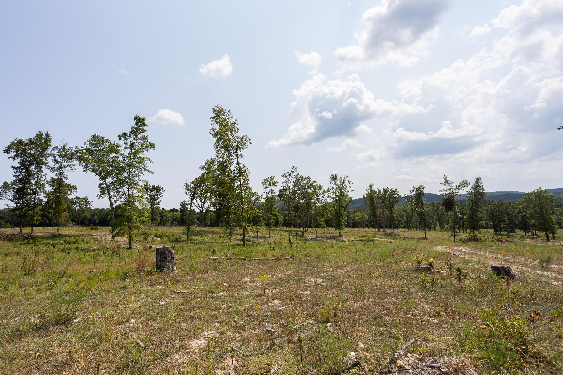Photo 17 - Land for sale – 000  County Road 425   Ava, MO