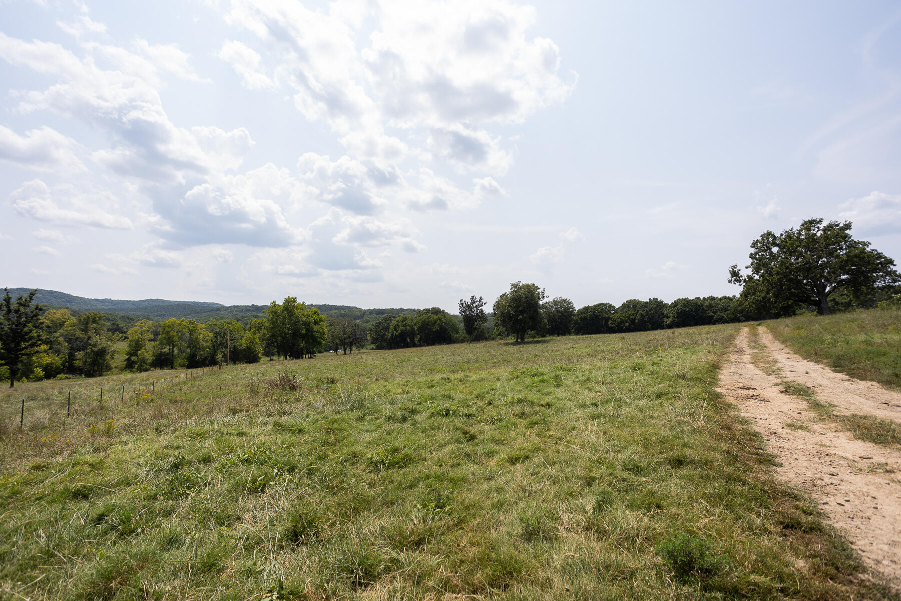 Photo 7 - Land for sale – 000  County Road 425   Ava, MO