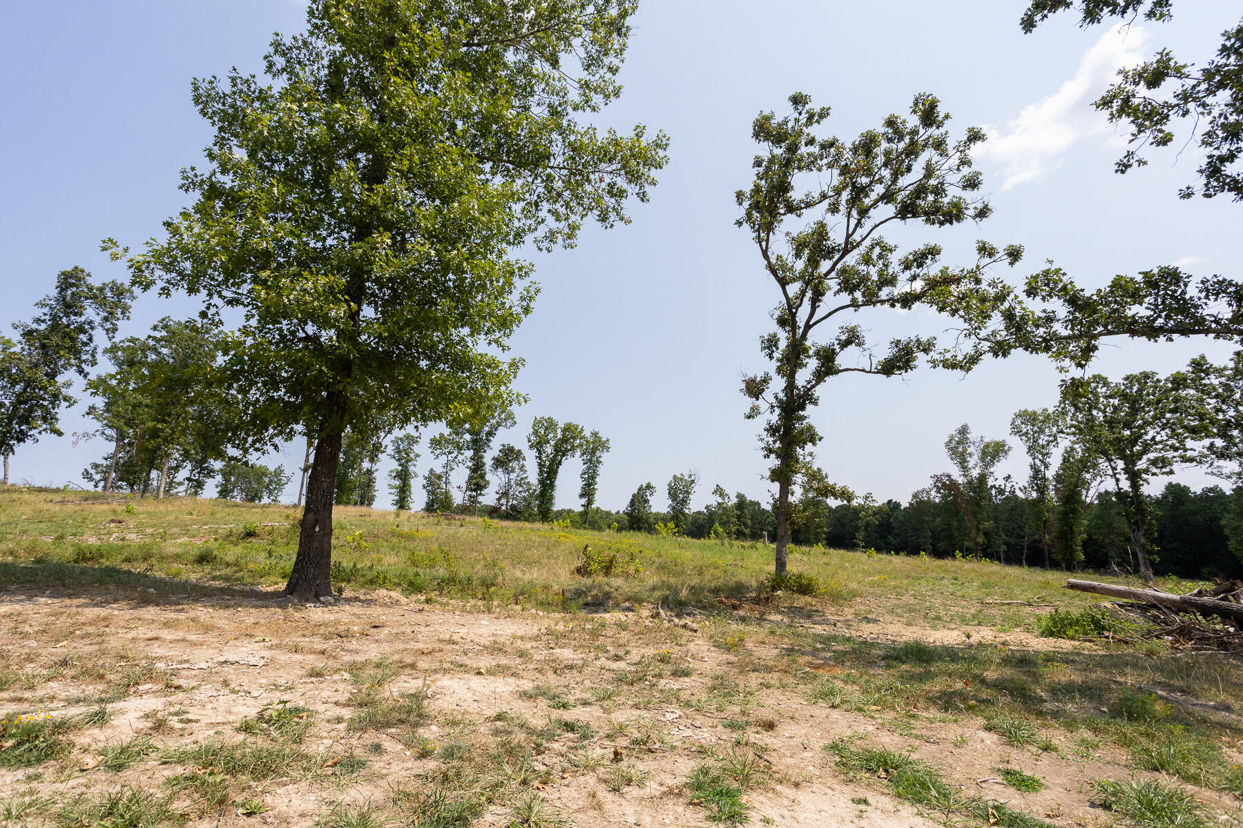 Photo 15 - Land for sale – 000  County Road 425   Ava, MO