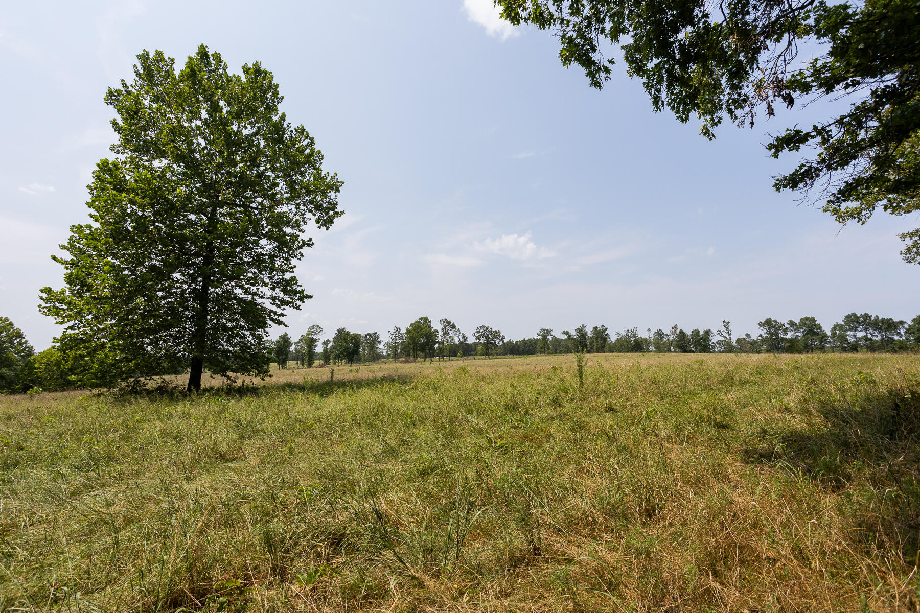 Photo 21 - Land for sale – 000  County Road 425   Ava, MO