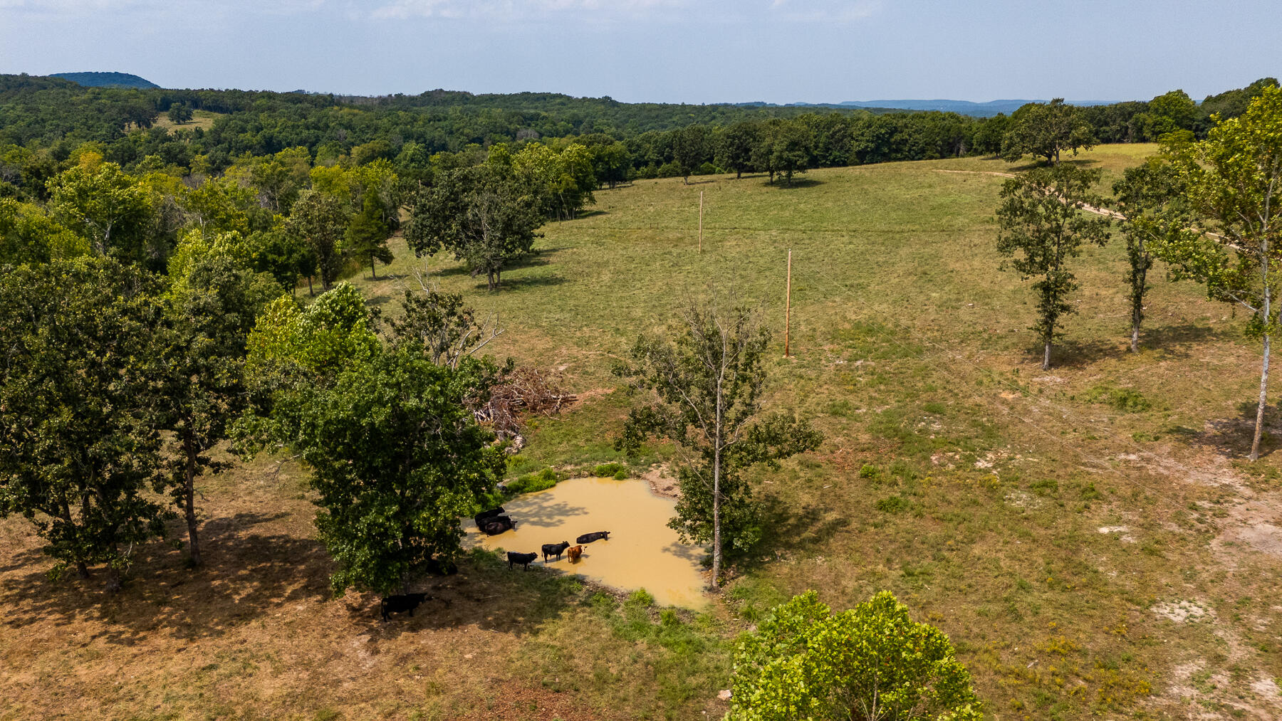 Photo 56 - Land for sale – 000  County Road 425   Ava, MO