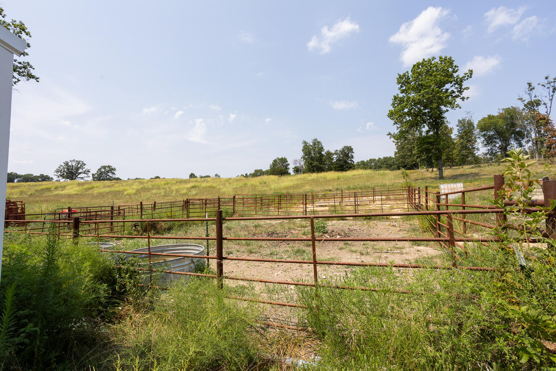 Photo 13 - Land for sale – 000  County Road 425   Ava, MO