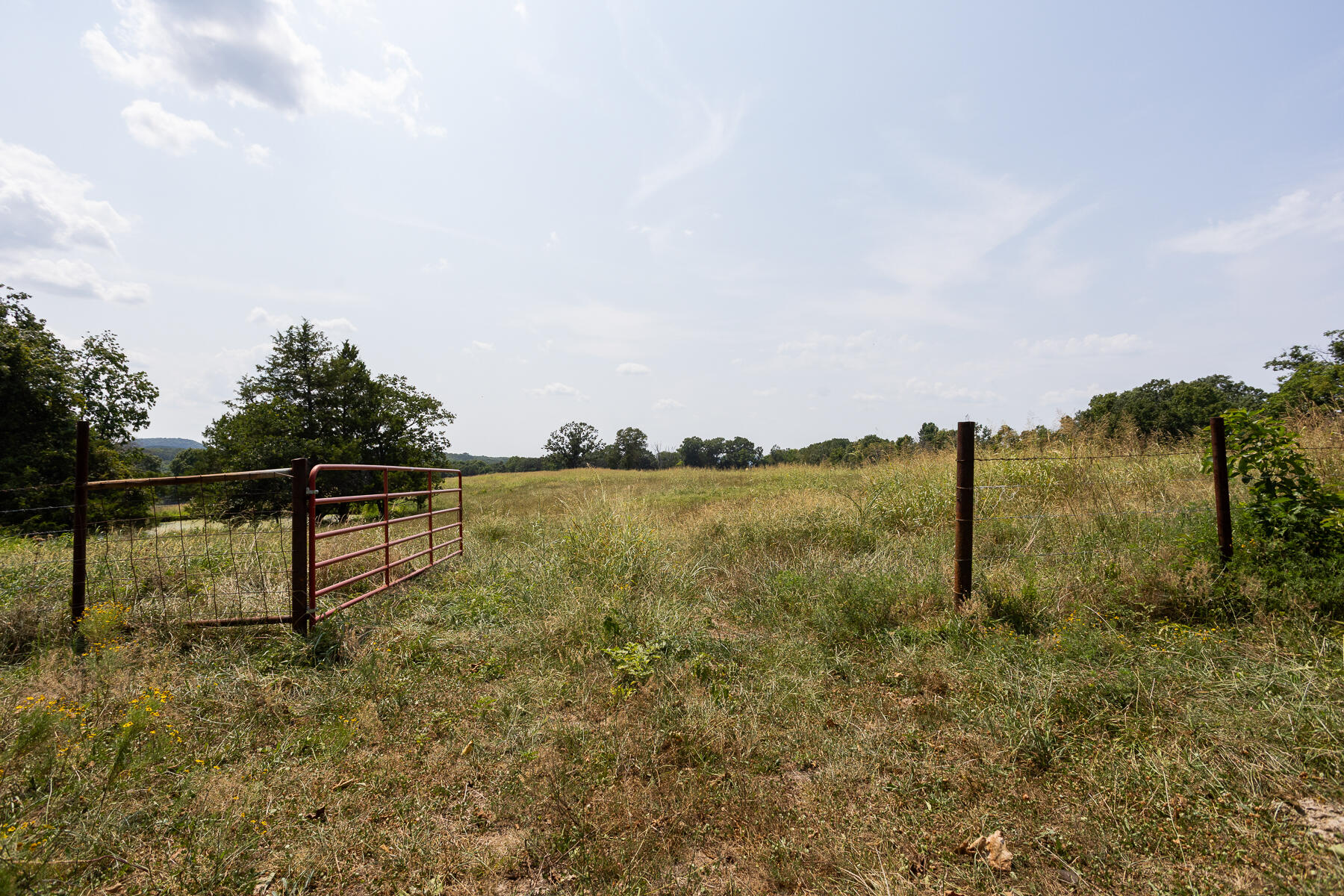 Photo 25 - Land for sale – 000  County Road 425   Ava, MO