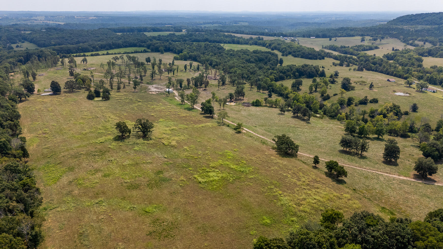 Photo 59 - Land for sale – 000  County Road 425   Ava, MO