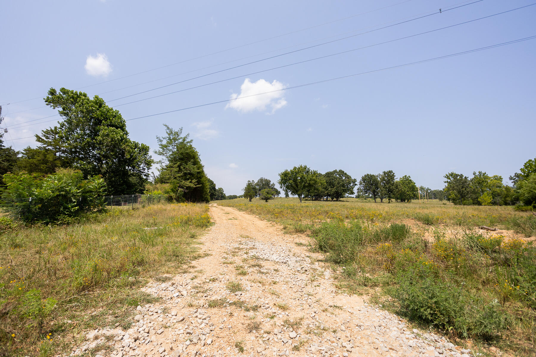 Photo 3 - Land for sale – 000  County Road 425   Ava, MO