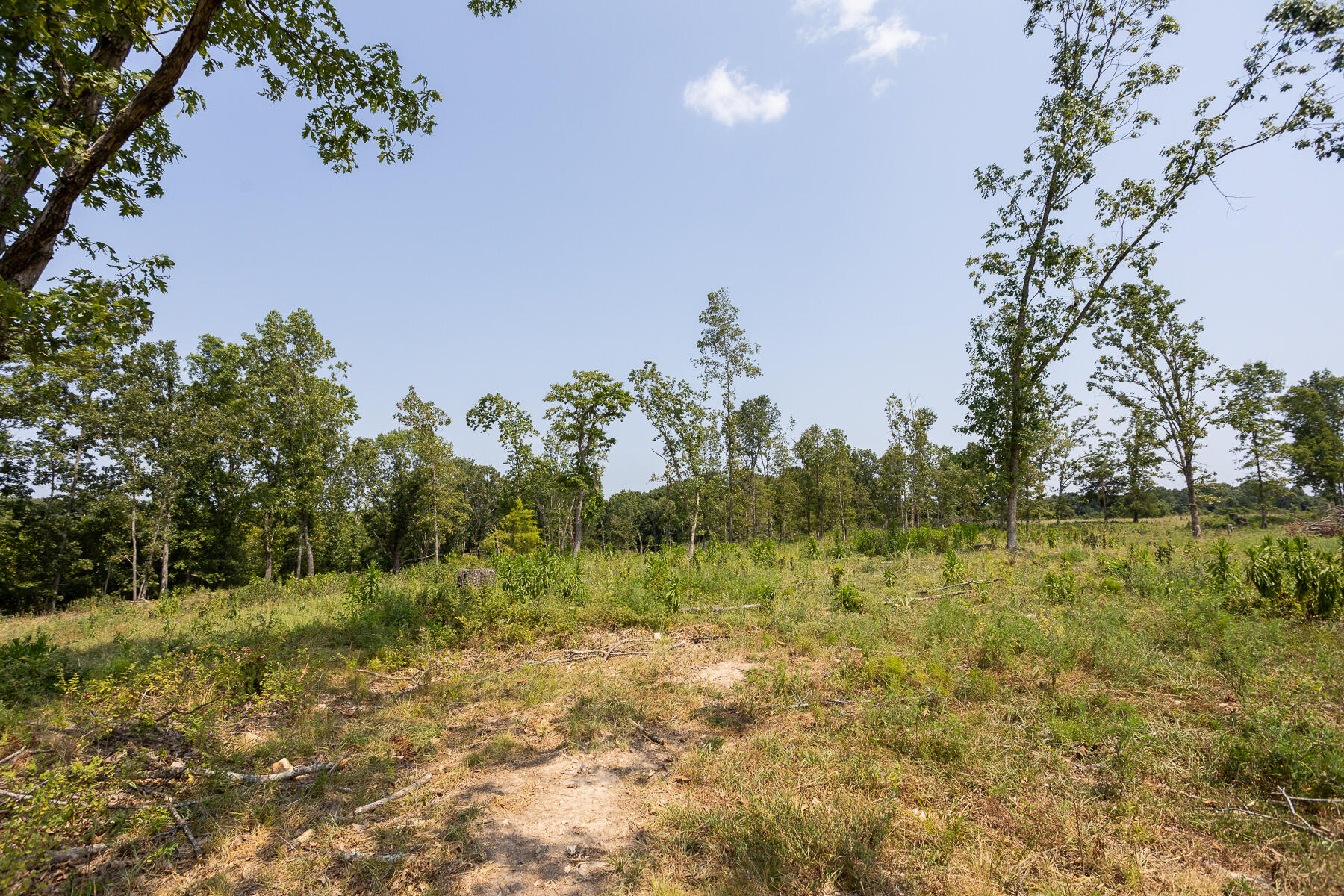 Photo 18 - Land for sale – 000  County Road 425   Ava, MO