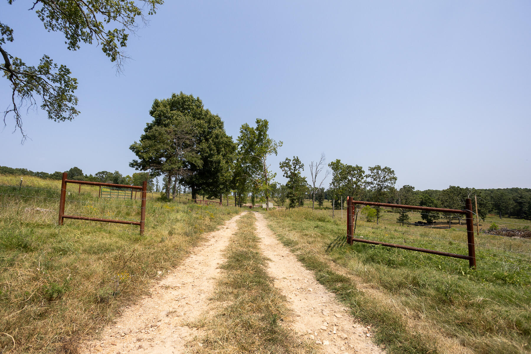 Photo 6 - Land for sale – 000  County Road 425   Ava, MO