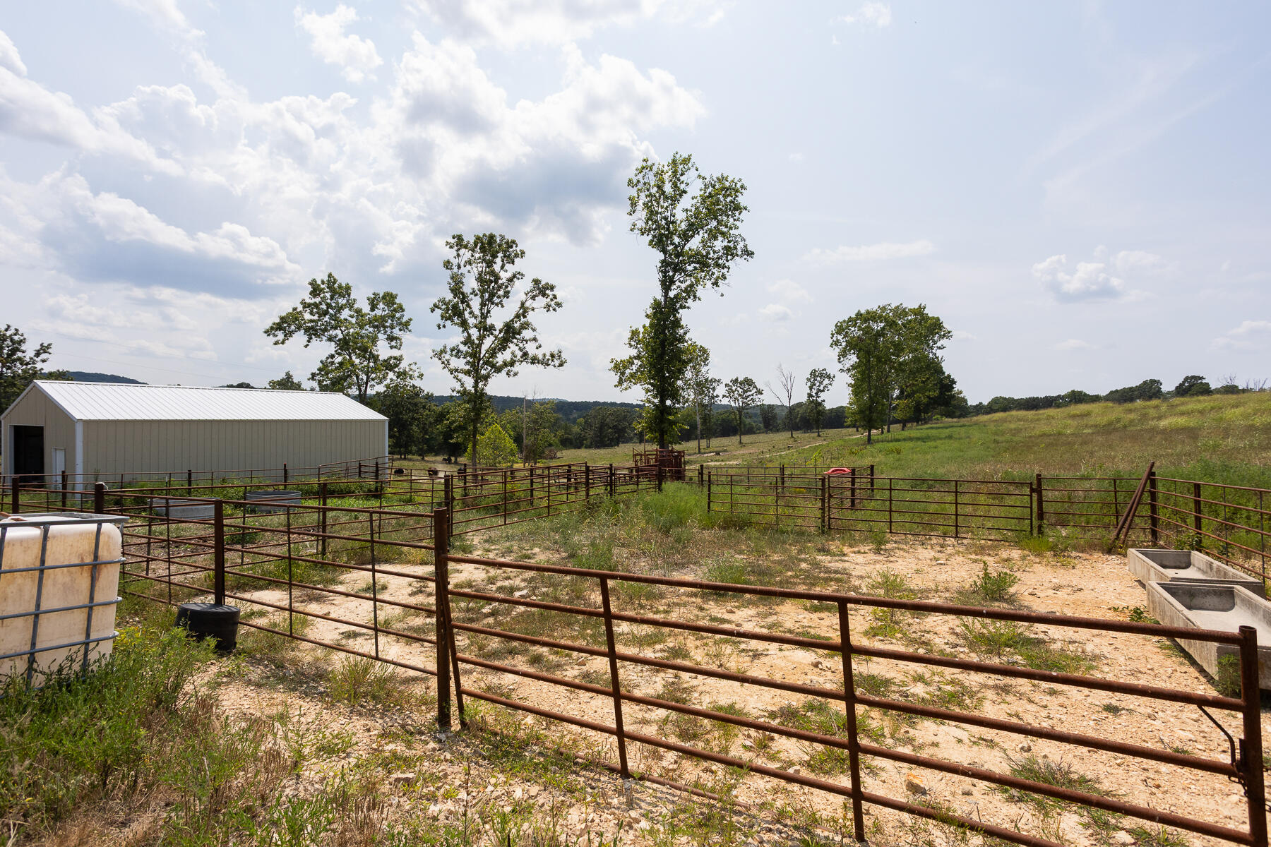 Photo 16 - Land for sale – 000  County Road 425   Ava, MO