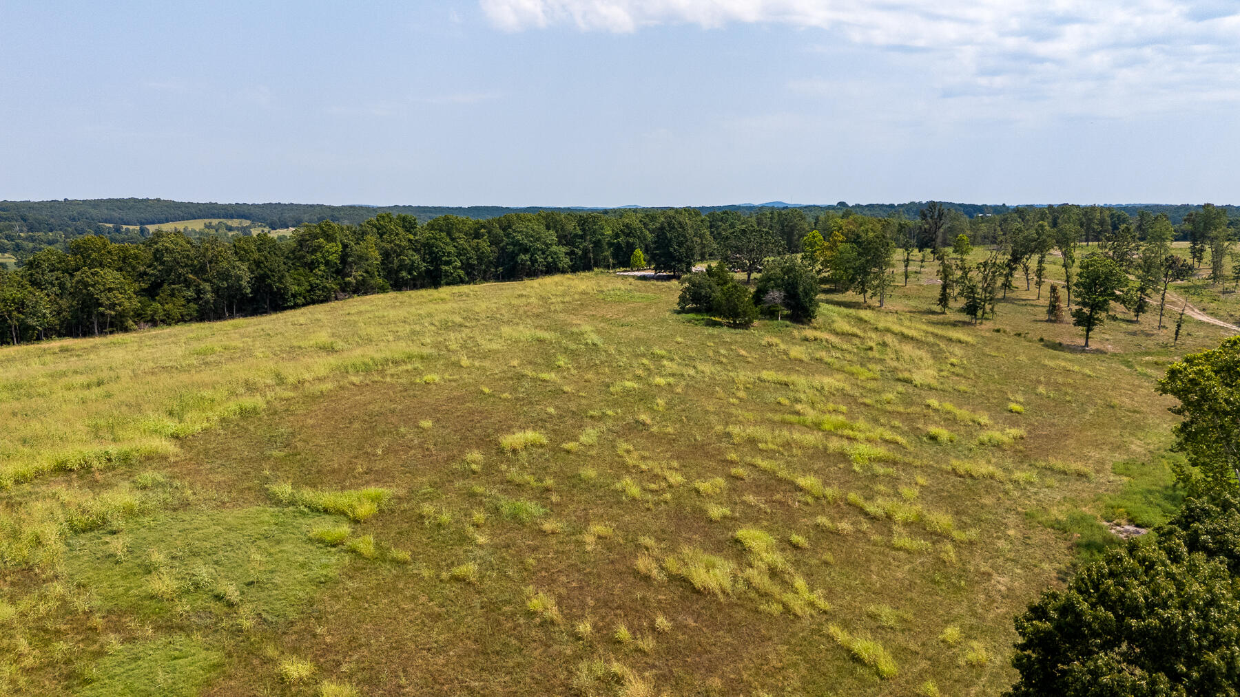 Photo 63 - Land for sale – 000  County Road 425   Ava, MO