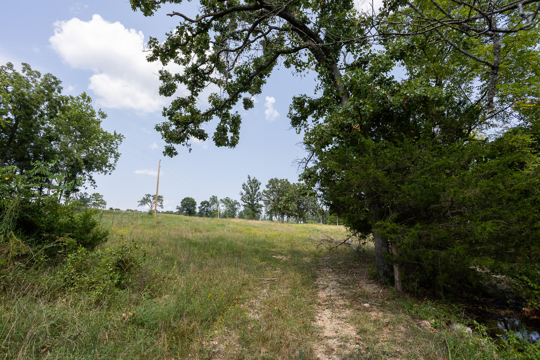 Photo 35 - Land for sale – 000  County Road 425   Ava, MO