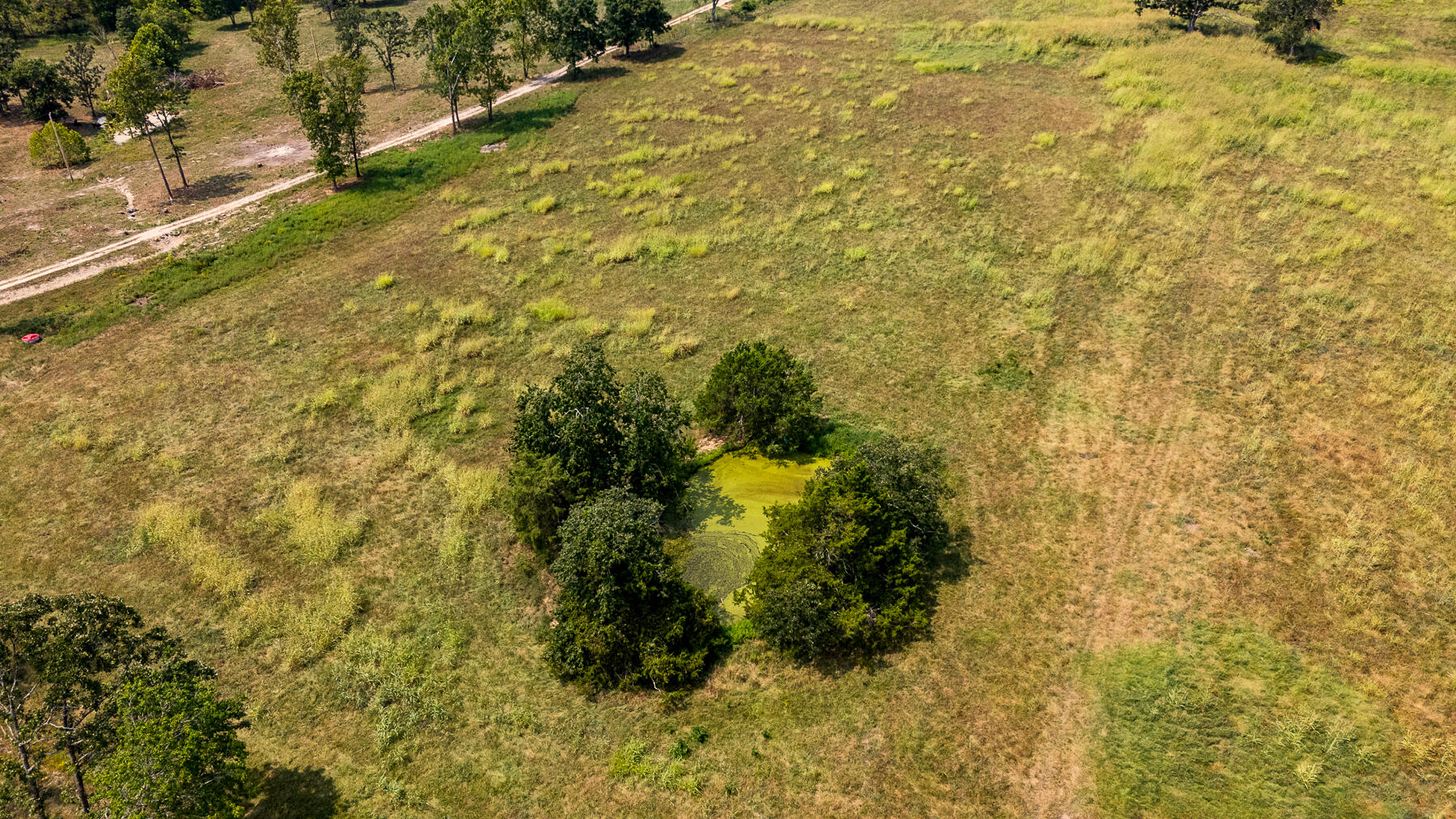 Photo 51 - Land for sale – 000  County Road 425   Ava, MO