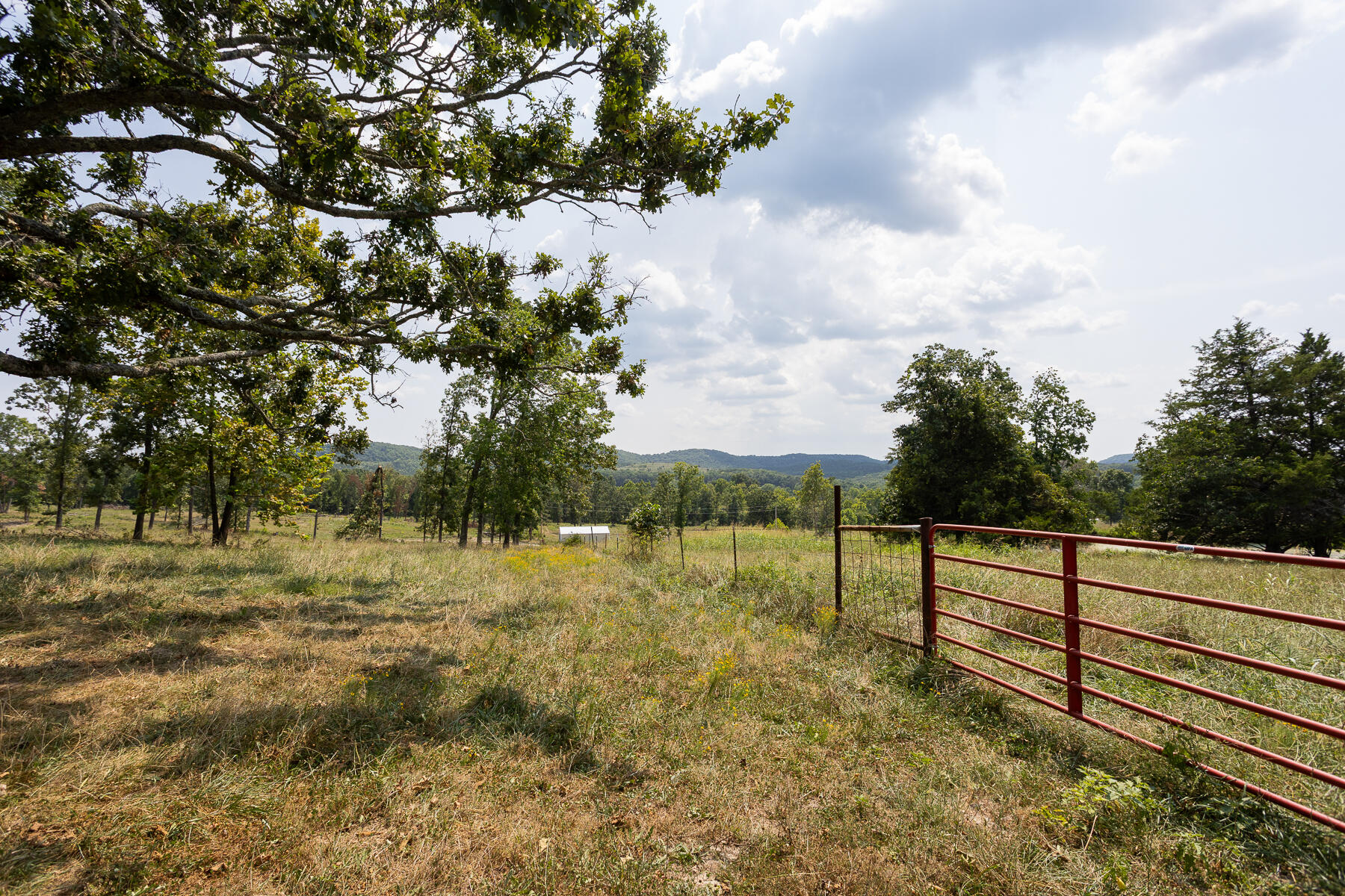Photo 24 - Land for sale – 000  County Road 425   Ava, MO