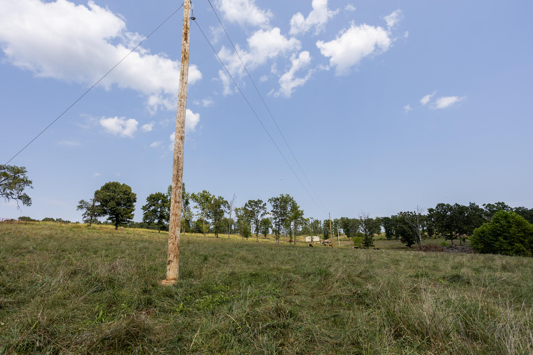 Photo 32 - Land for sale – 000  County Road 425   Ava, MO