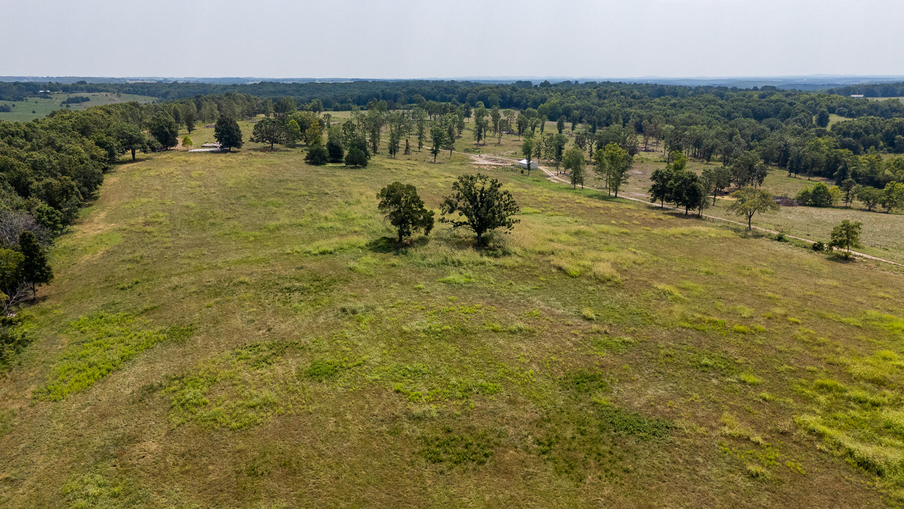 Photo 58 - Land for sale – 000  County Road 425   Ava, MO