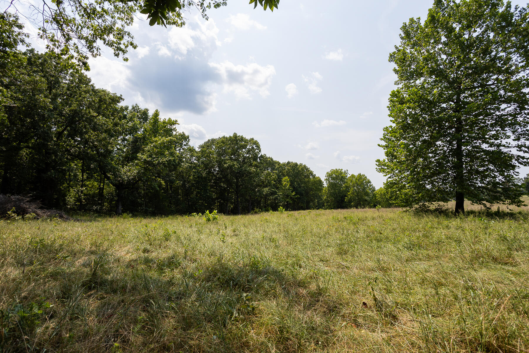 Photo 22 - Land for sale – 000  County Road 425   Ava, MO
