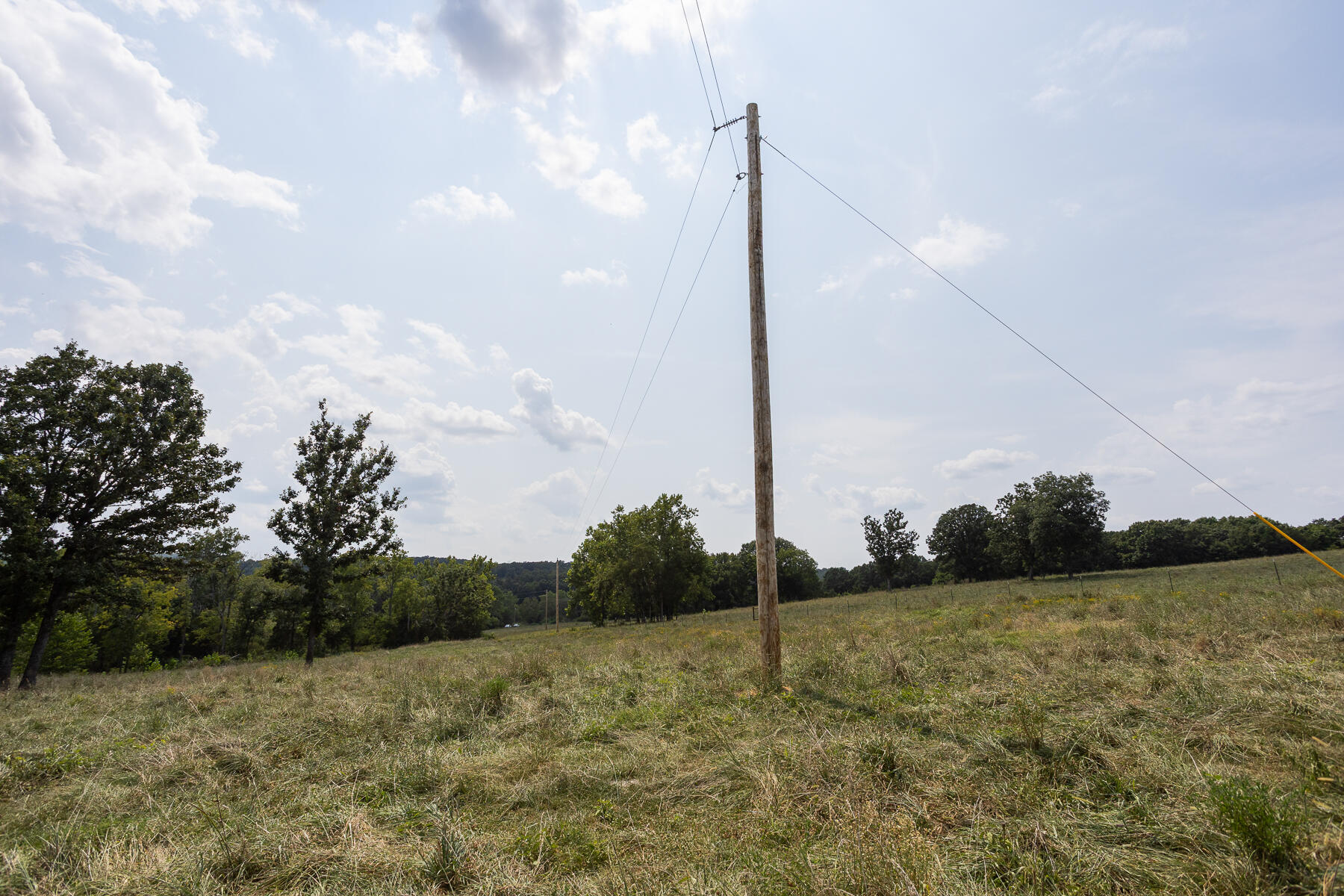 Photo 31 - Land for sale – 000  County Road 425   Ava, MO