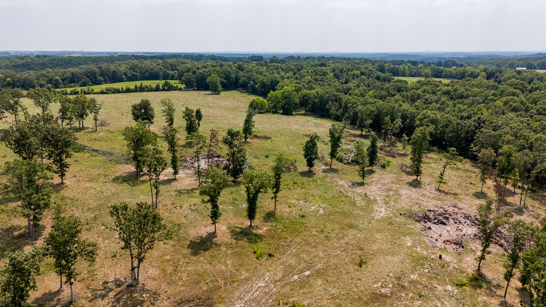 Photo 66 - Land for sale – 000  County Road 425   Ava, MO