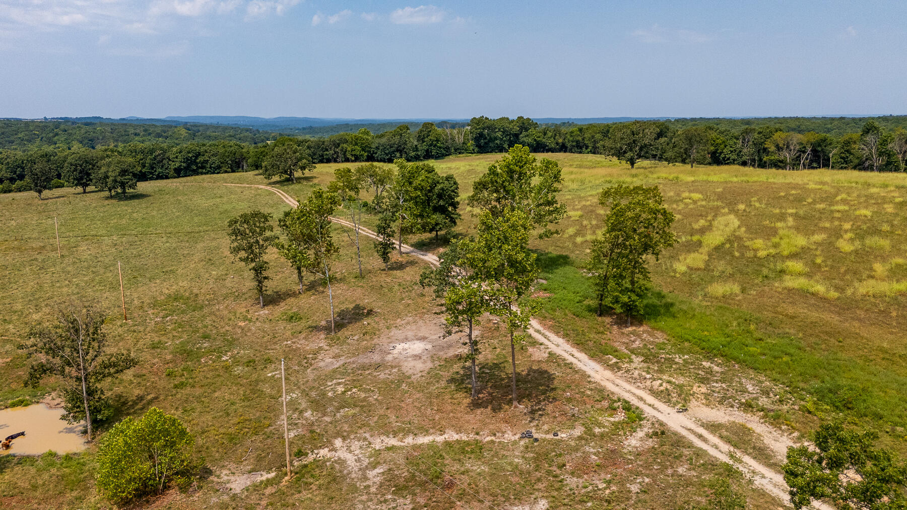 Photo 55 - Land for sale – 000  County Road 425   Ava, MO