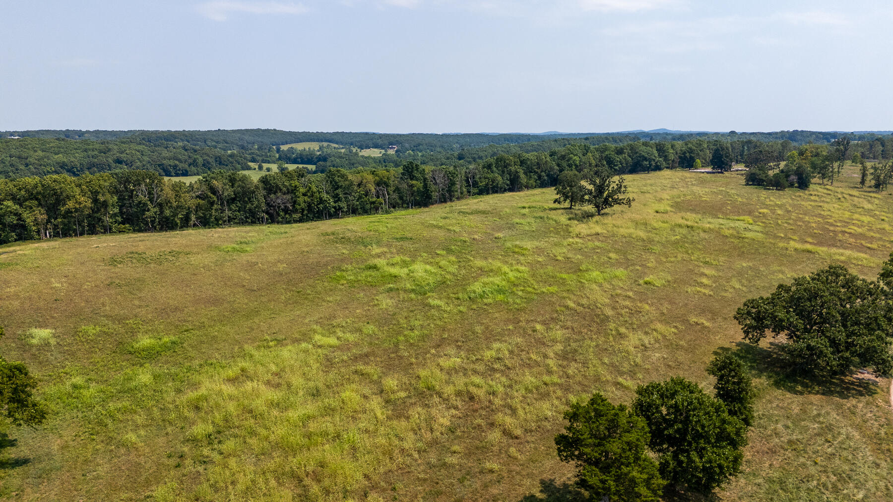 Photo 40 - Land for sale – 000  County Road 425   Ava, MO