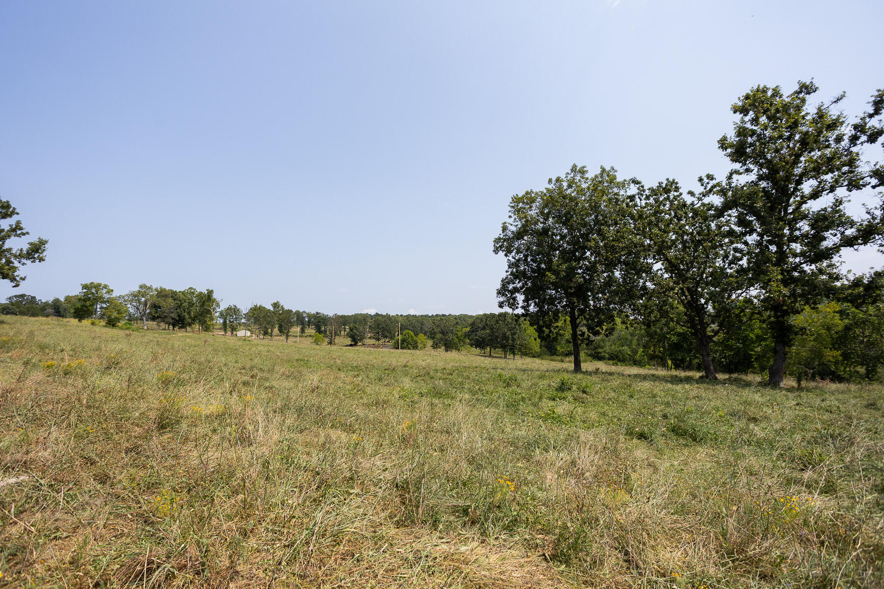 Photo 4 - Land for sale – 000  County Road 425   Ava, MO