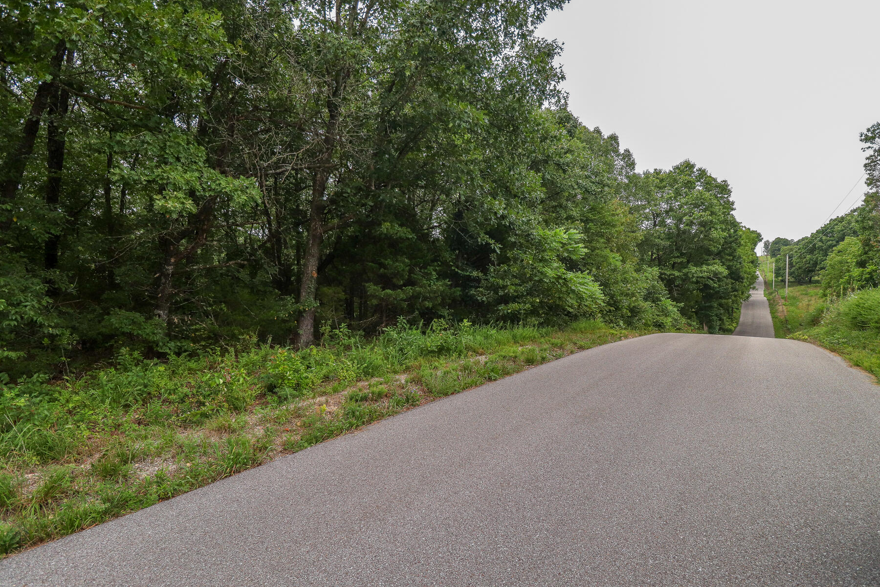 Photo 60 - Land for sale – 000  County Road 1220   Mt Vernon, MO
