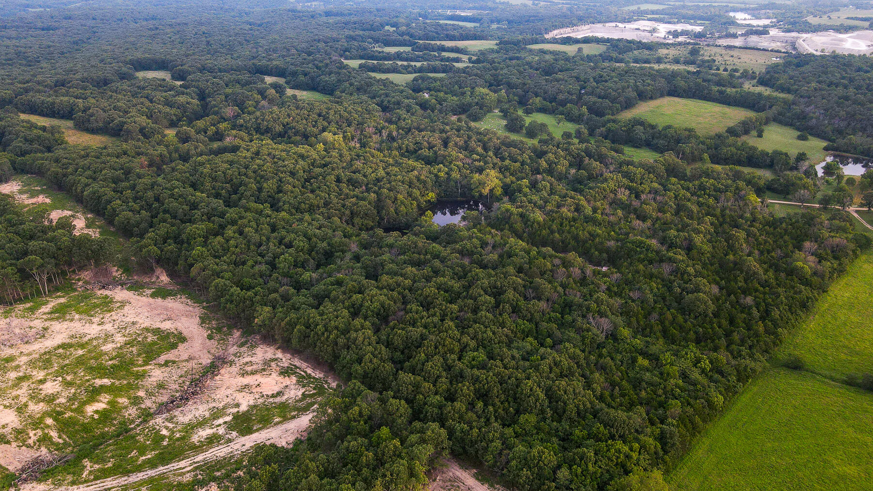 Photo 7 - Land for sale – 000  County Road 1220   Mt Vernon, MO