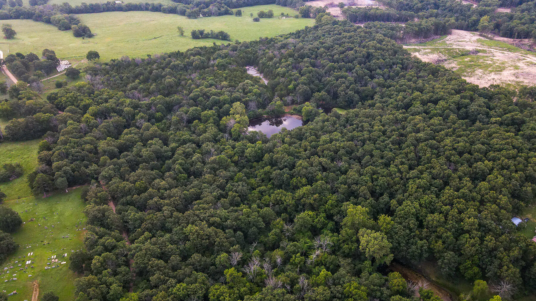 Photo 4 - Land for sale – 000  County Road 1220   Mt Vernon, MO