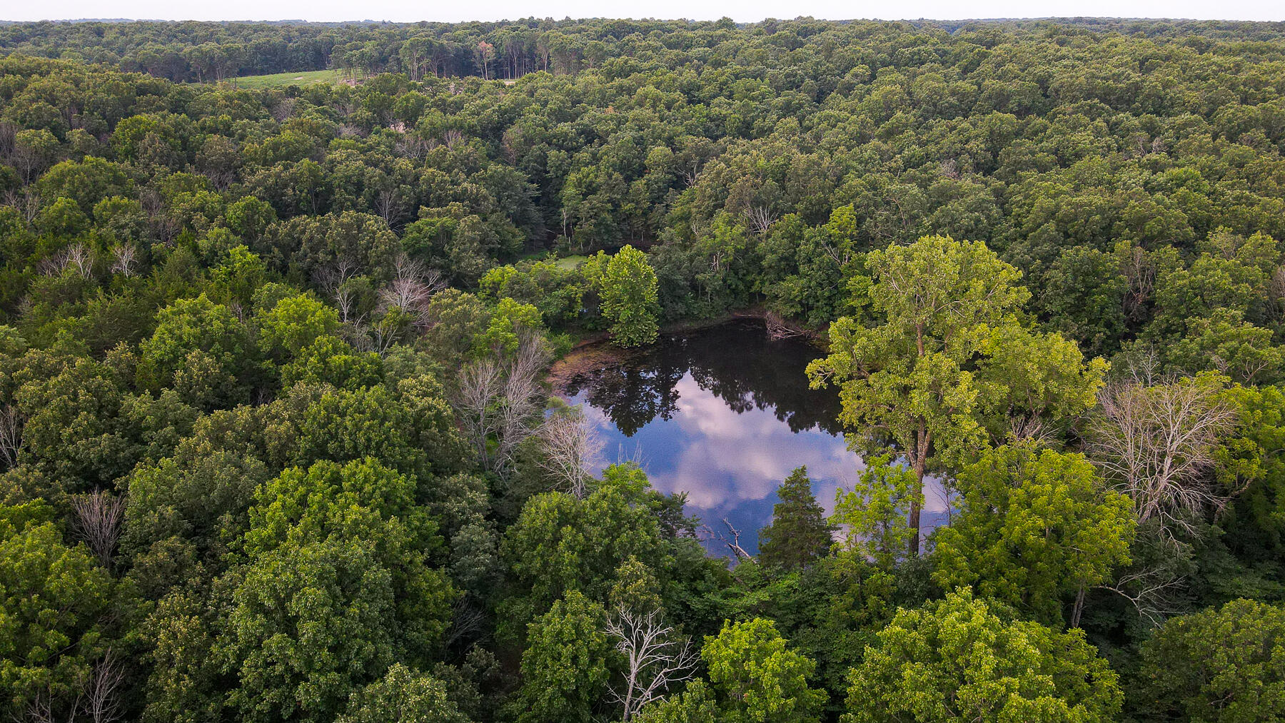 Photo 12 - Land for sale – 000  County Road 1220   Mt Vernon, MO