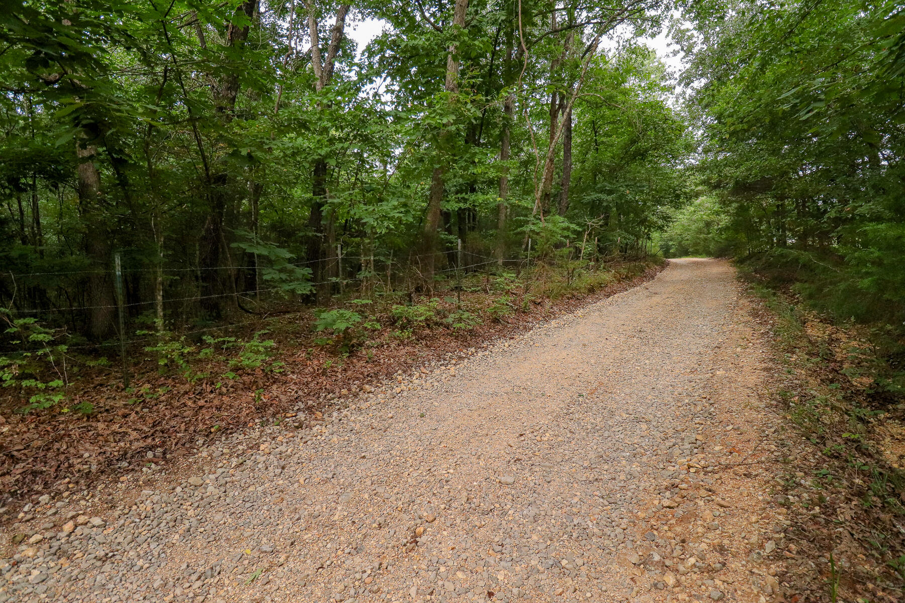 Photo 58 - Land for sale – 000  County Road 1220   Mt Vernon, MO