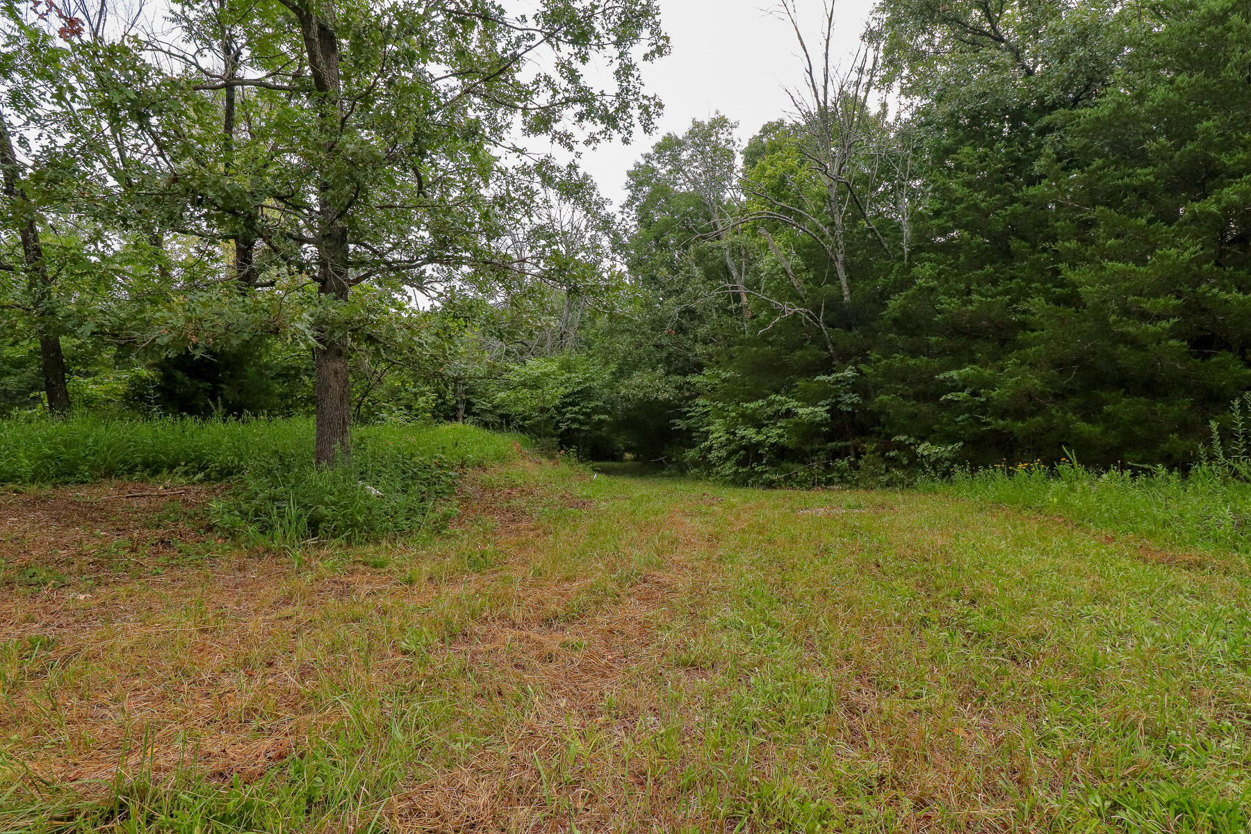 Photo 33 - Land for sale – 000  County Road 1220   Mt Vernon, MO