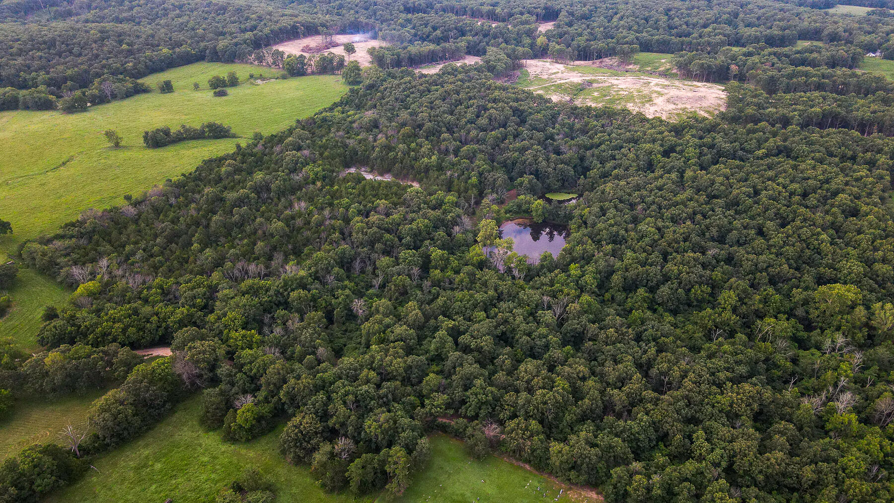 Land for sale – 000  County Road 1220   Mt Vernon, MO