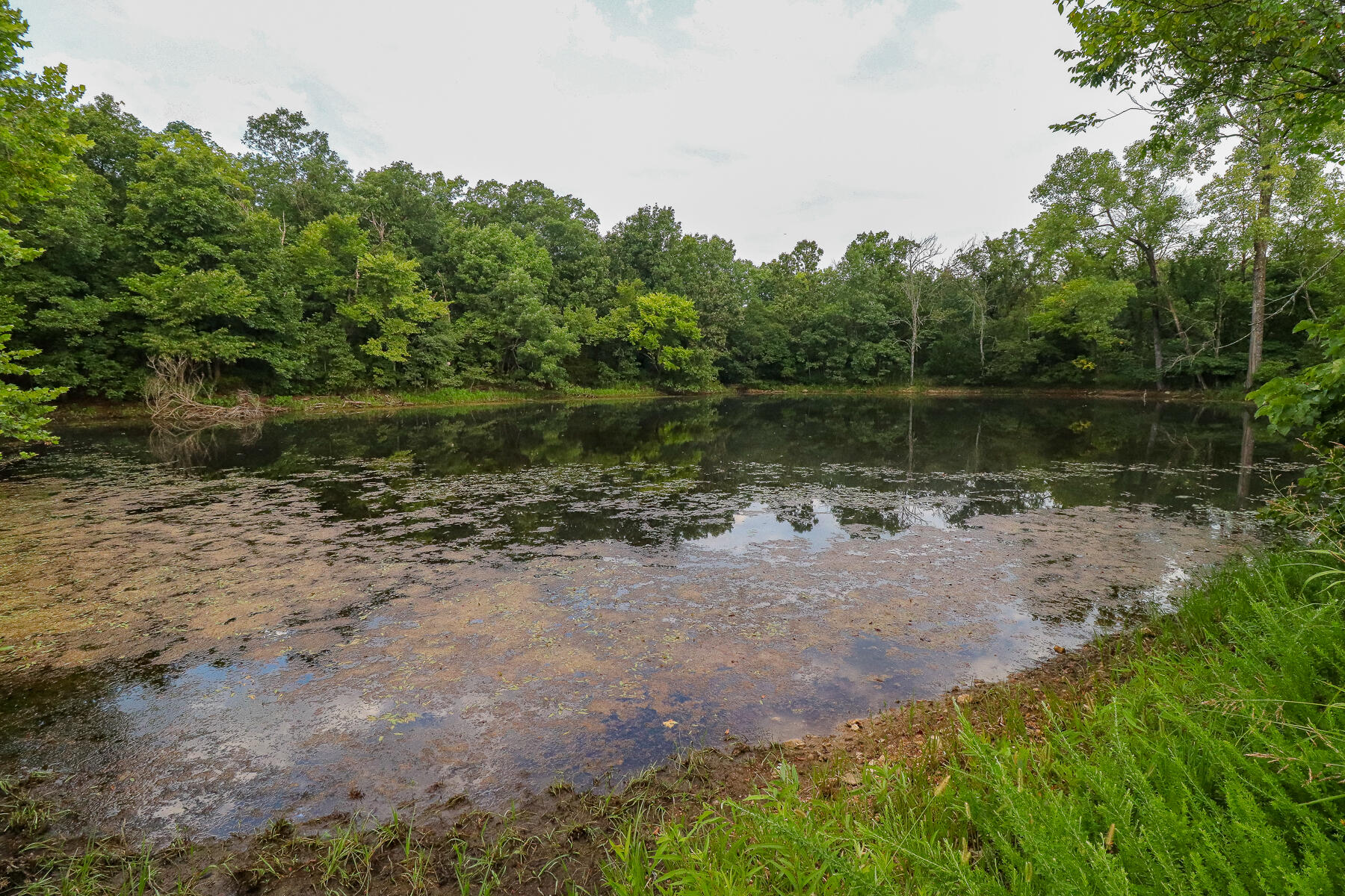 Photo 35 - Land for sale – 000  County Road 1220   Mt Vernon, MO