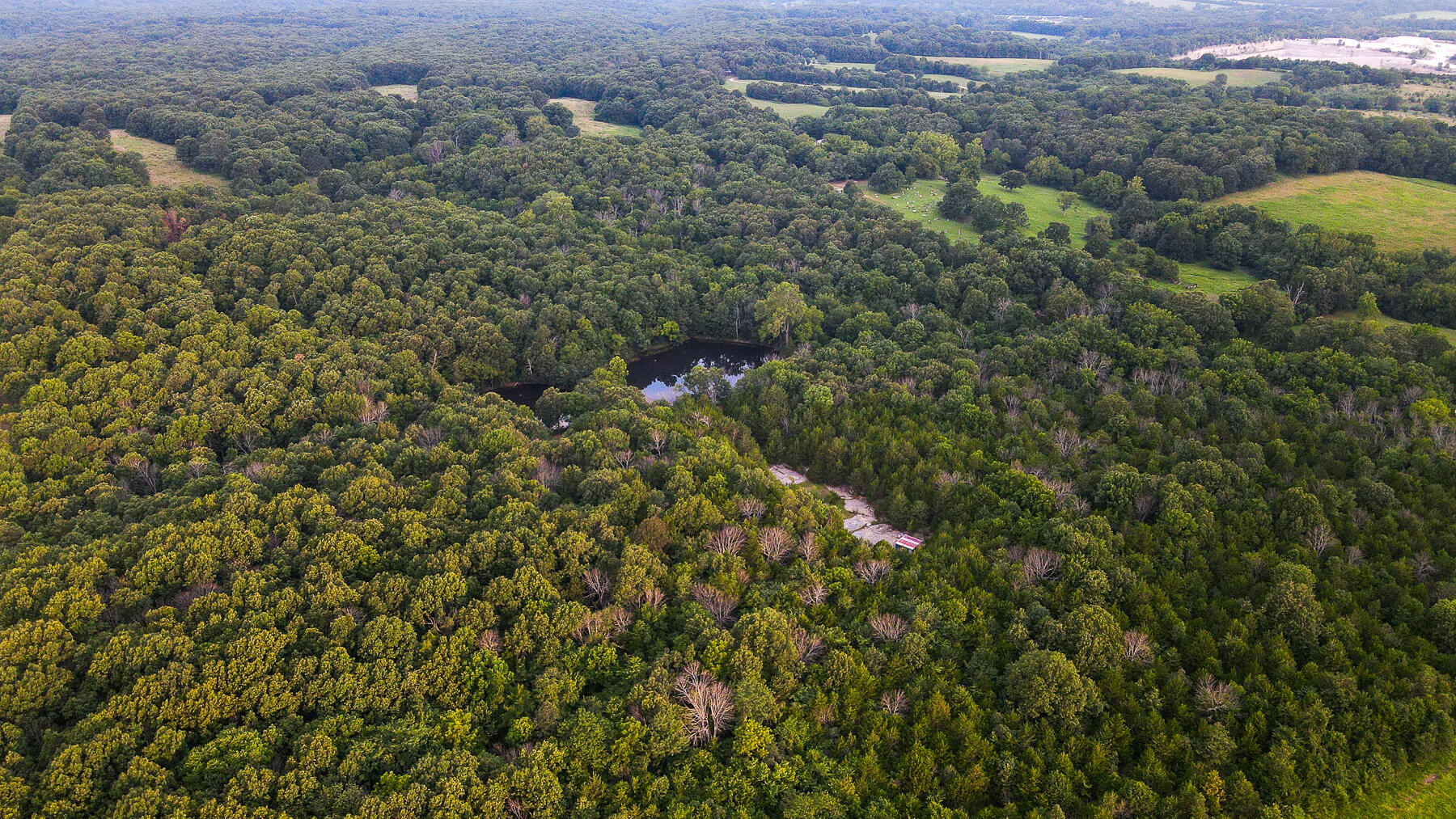 Photo 8 - Land for sale – 000  County Road 1220   Mt Vernon, MO