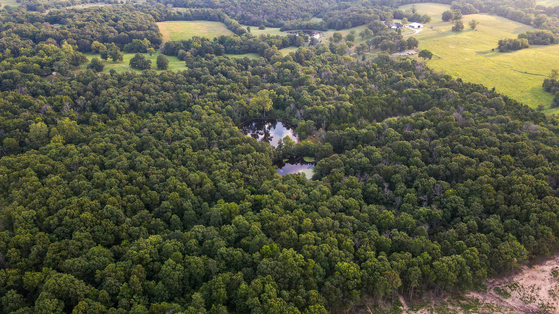 Photo 6 - Land for sale – 000  County Road 1220   Mt Vernon, MO