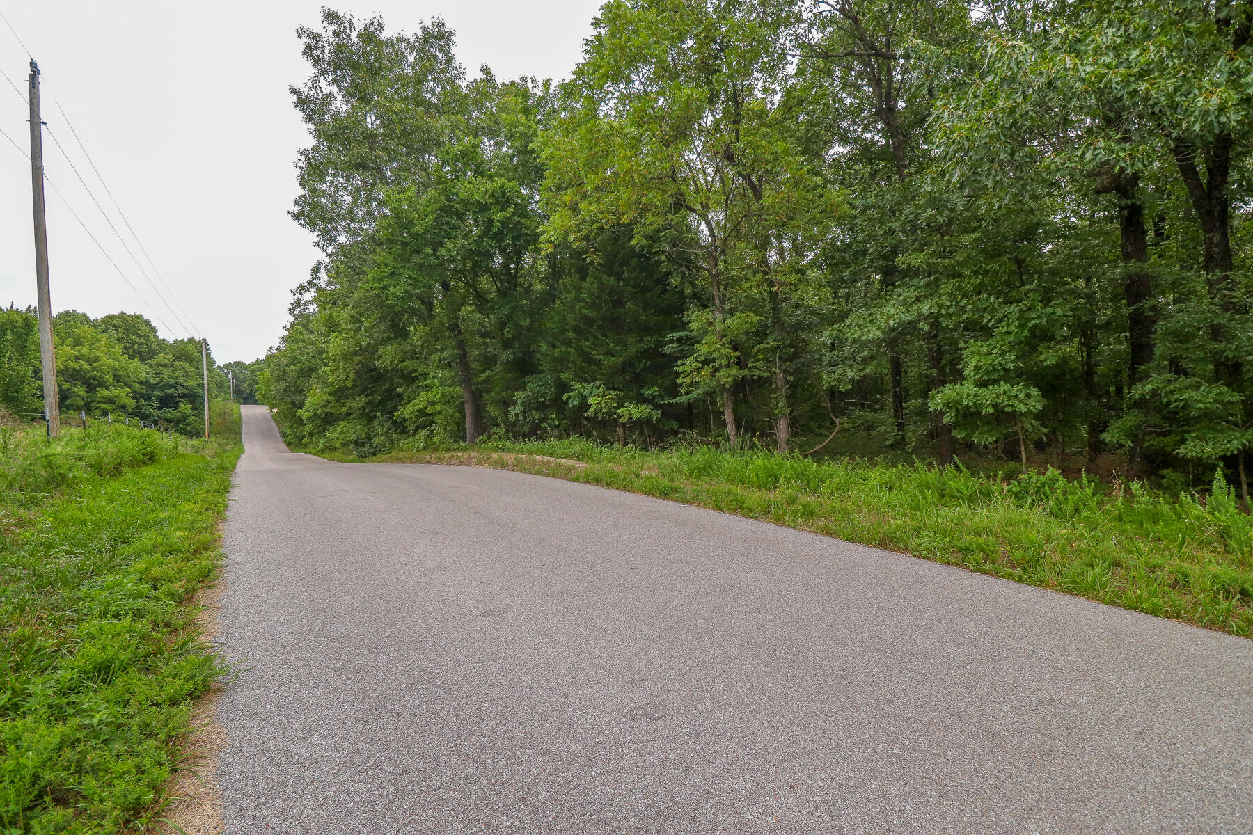 Photo 59 - Land for sale – 000  County Road 1220   Mt Vernon, MO