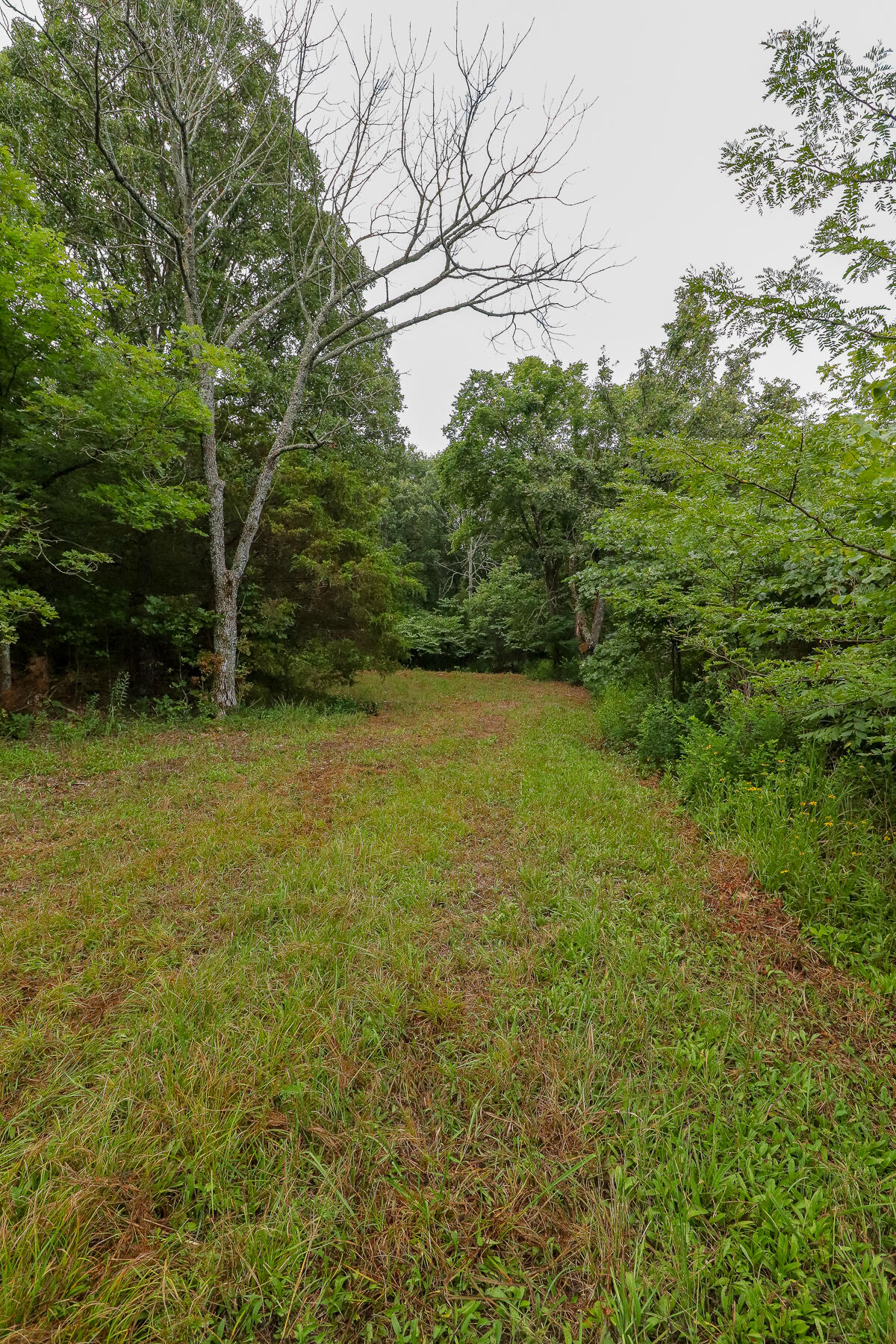 Photo 34 - Land for sale – 000  County Road 1220   Mt Vernon, MO