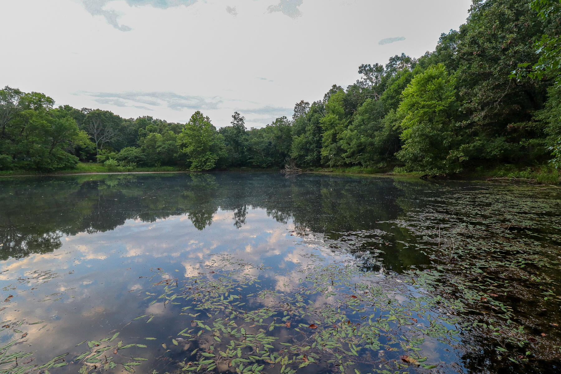 Photo 25 - Land for sale – 000  County Road 1220   Mt Vernon, MO