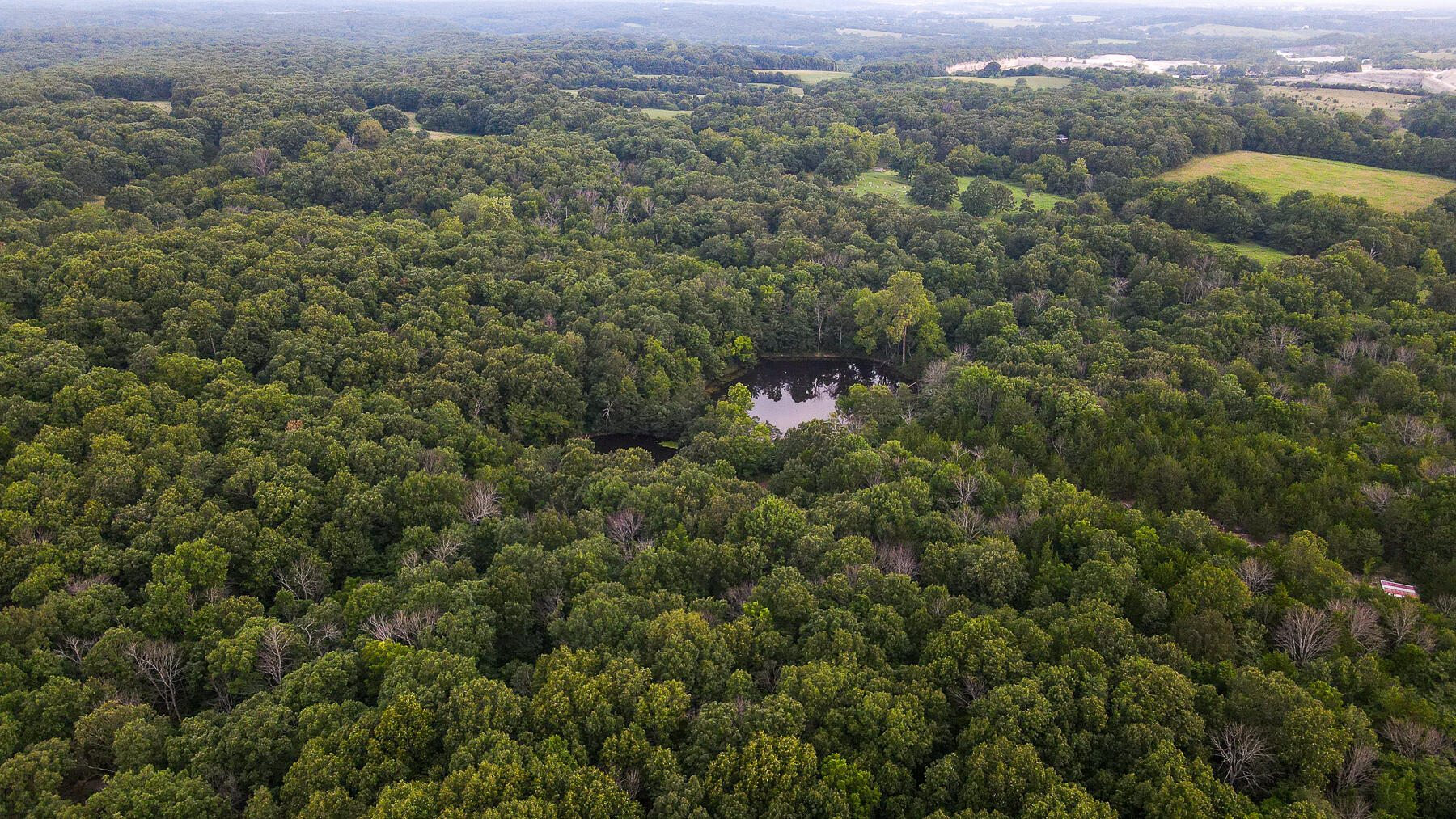 Photo 9 - Land for sale – 000  County Road 1220   Mt Vernon, MO