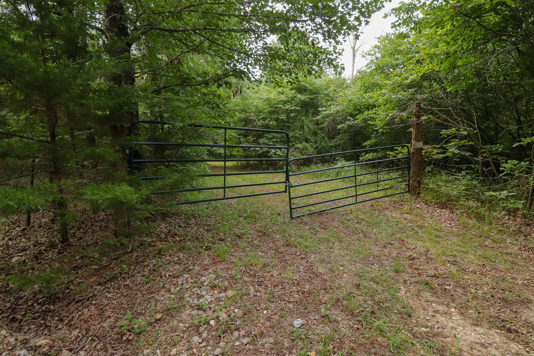 Photo 57 - Land for sale – 000  County Road 1220   Mt Vernon, MO