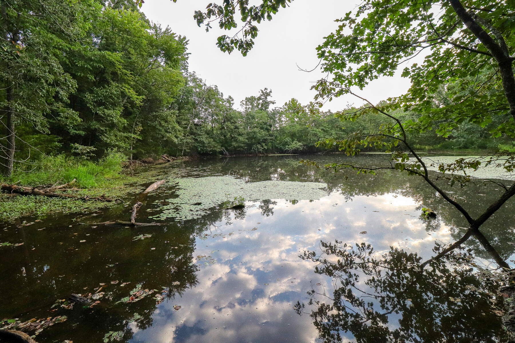 Photo 31 - Land for sale – 000  County Road 1220   Mt Vernon, MO