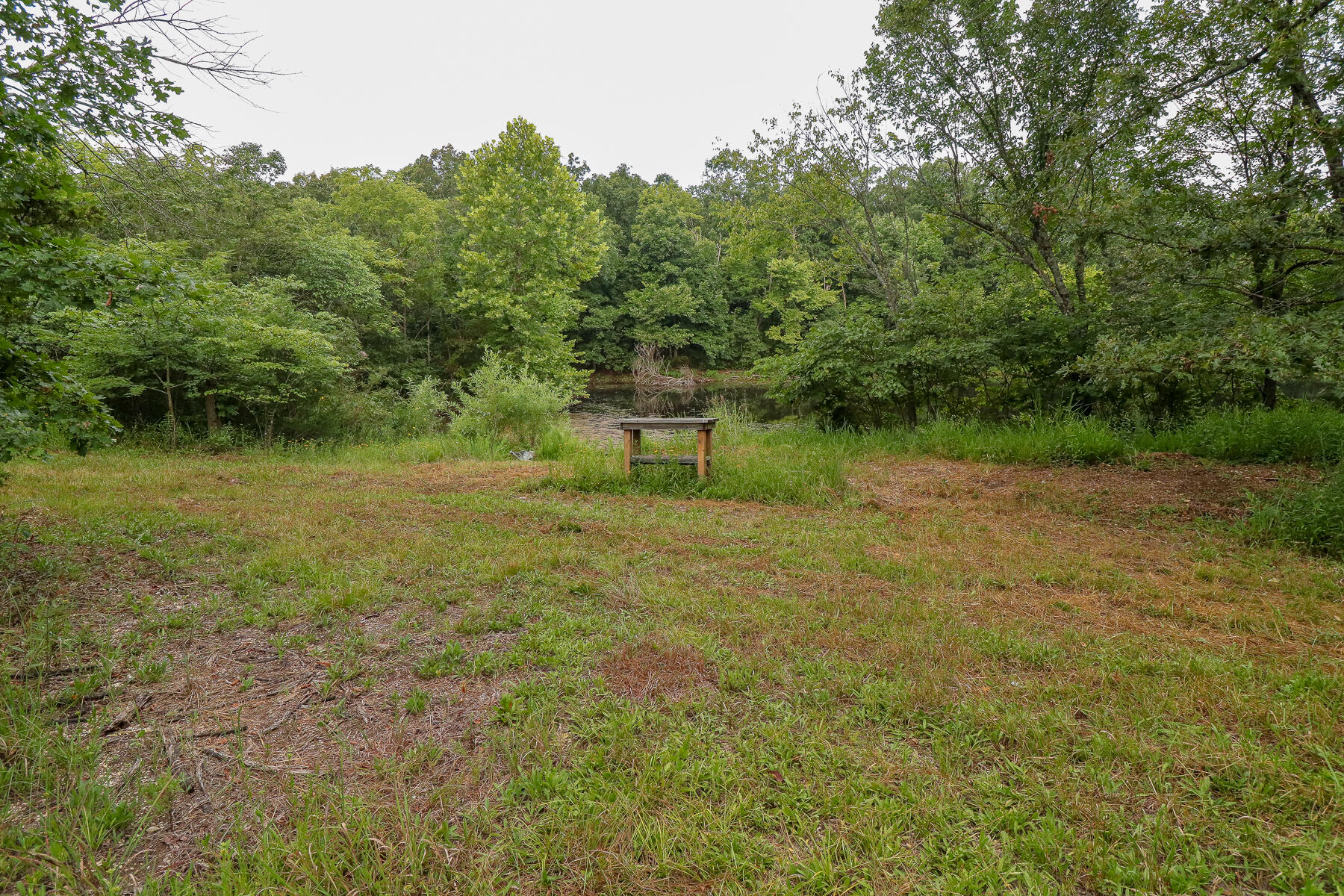 Photo 32 - Land for sale – 000  County Road 1220   Mt Vernon, MO