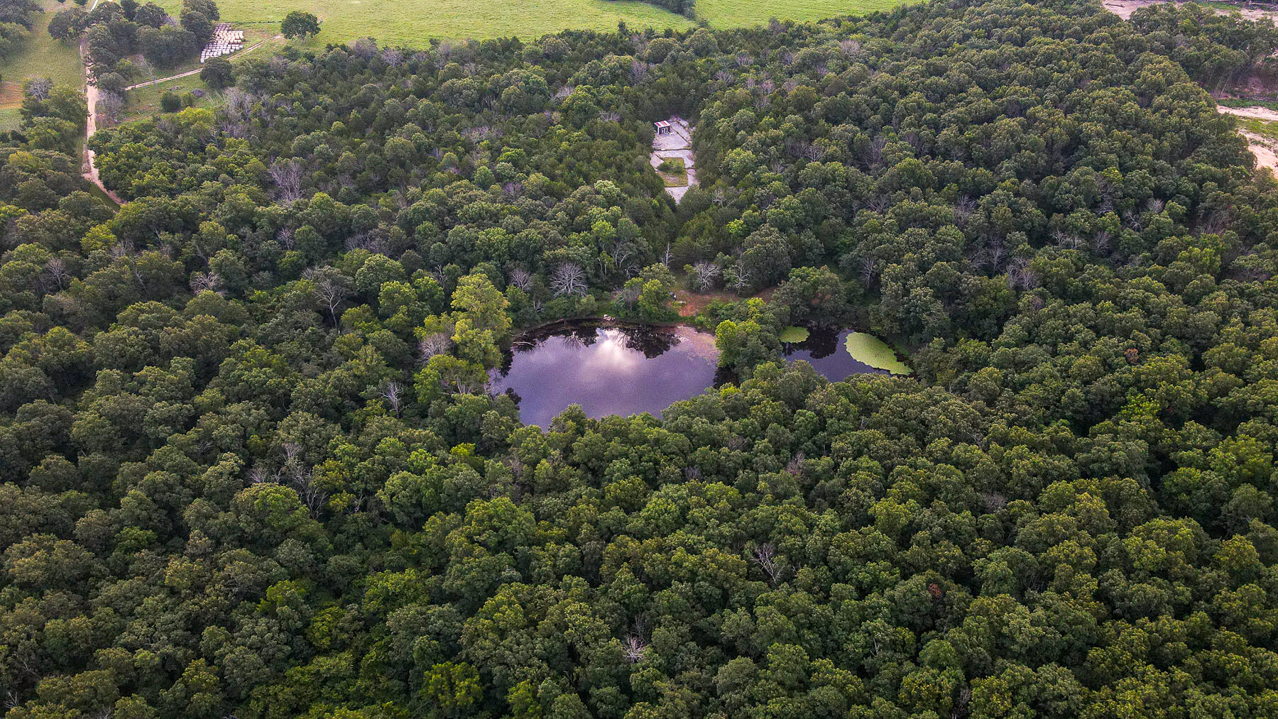 Photo 5 - Land for sale – 000  County Road 1220   Mt Vernon, MO